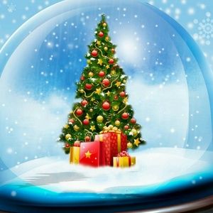 Meet your Posher, Janette